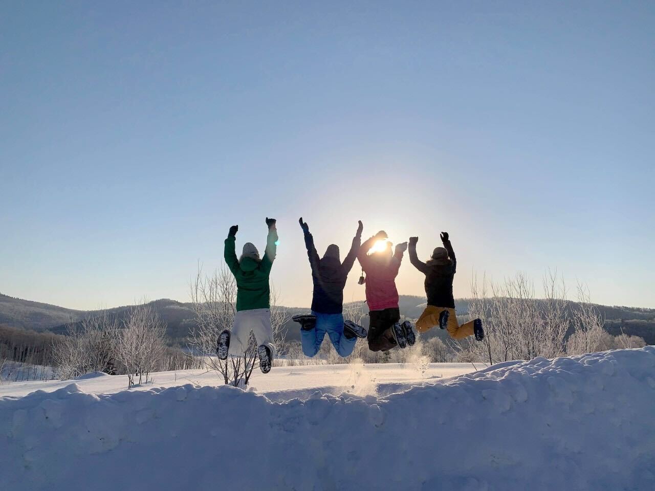 森の中でピクニック